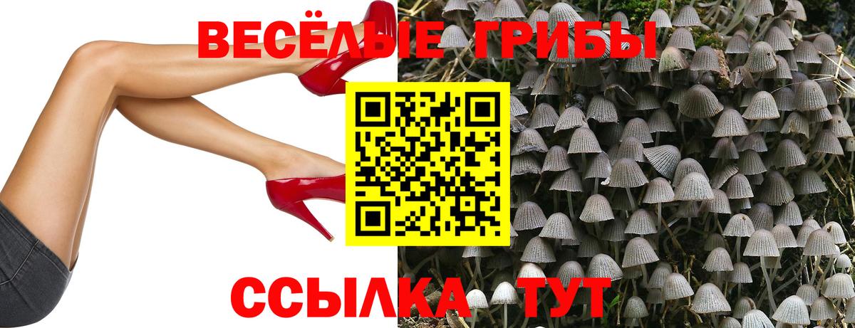 Галлюциногенные грибы мухоморы Конаково